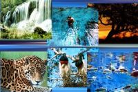 Pantanal, o melhor destino de turismo ecológico do Brasil