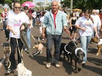 Prefeitura liberou entrada de animais no parque