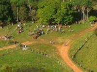 Área ocupada em MS virou aldeia