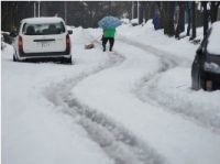 Mulher anda pela neve com cachorro