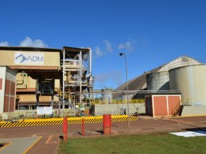 A fábrica deve operar com uma unidade de processamento já no 3º trimestre de 2015.
