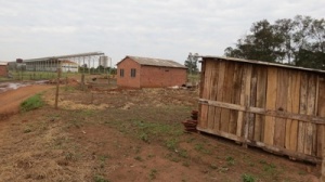 Ao fundo, é possí­vel ver a estrutura abandonada da estação ferroviária. Pátio abandonado onde famí­lias montaram barracos.