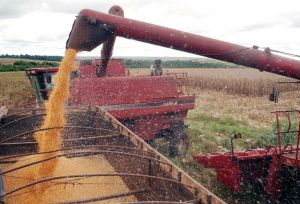 IBGE confirma expectativa de safra recorde em 2015