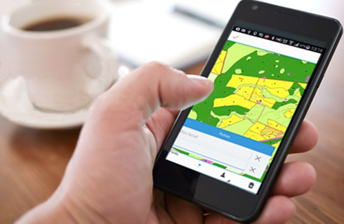 Celular com informações sobre florestas