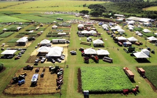 Trata-se da primeira soja geneticamente modificada totalmente desenvolvida no Brasil