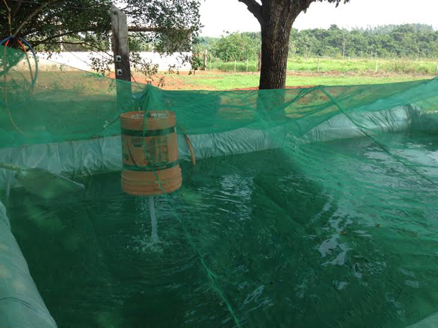 O Meu Sisteminha Embrapa é um projeto autossustentável que consiste basicamente em um tanque de criação de peixes e o uso da mesma água para irrigar pequenas plantações ao redor.