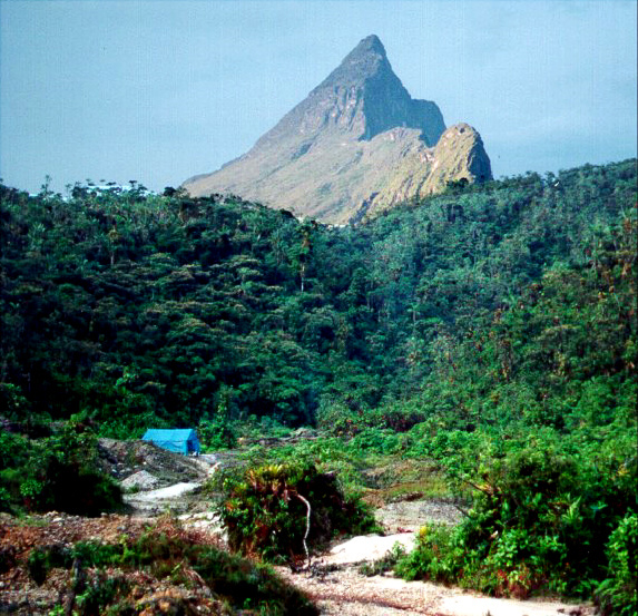 Pico da Neblina no Amazonas