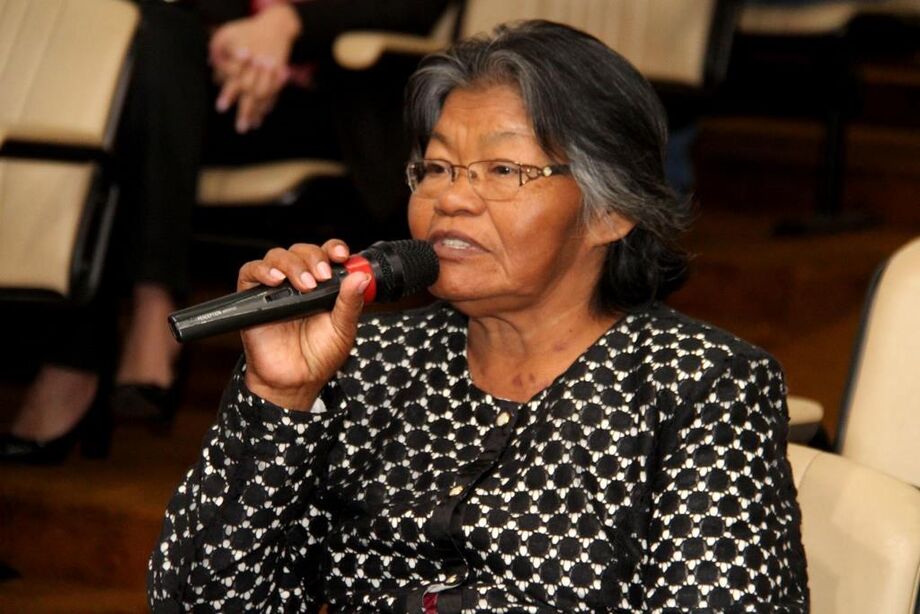 Enir Terena confirma que Cimi coordenou criação de Conselho