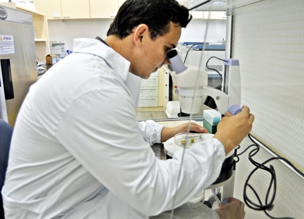 Uma das áreas prioritárias é a bioprospecção aplicada a enzimas industriais e biofármacos