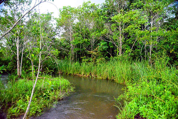 Em Bonito já está corriqueiro o flagrante de degradação ambiental em propriedades rurais particulares que têm acesso aos rios