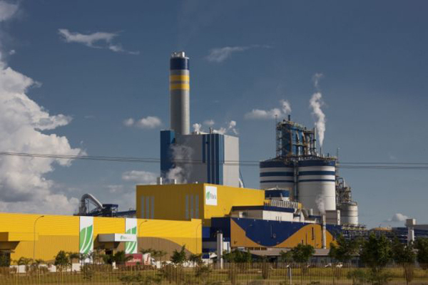 Faz parte da estratégia de crescimento da Fibria, líder global na produção de celulose de eucalipto, buscar de forma contínua o desenvolvimento dos seus profissionais