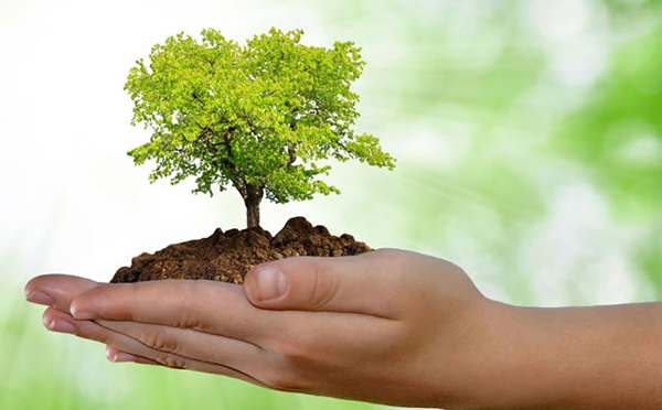 Ações educativas têm por objetivo destacar a importância de práticas benéficas para a preservação ambiental e a conscientização da população