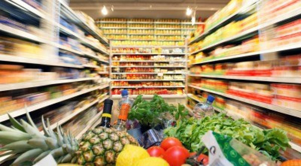 Uma das principais missões é equilibrar o costume alimentar de ambos dentro dessa nova vida