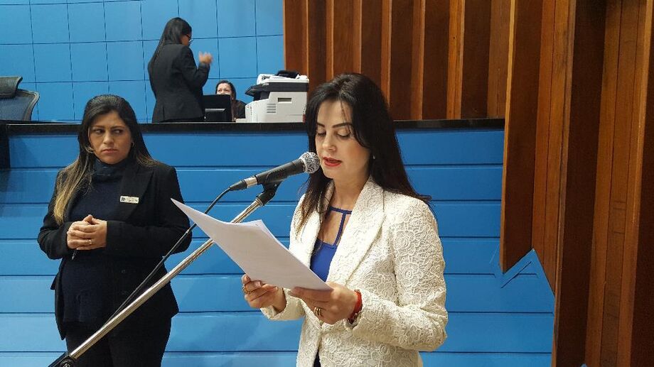 Proposta é de autoria da deputada Mara Caseiro