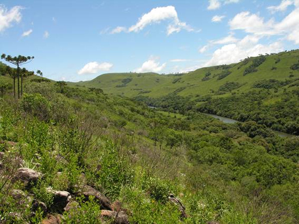 O apoio a projetos visa potencializar a geração de conhecimento através de pesquisas e estudos da biodiversidade brasileira, além de estimular ações que promovam mudanças positivas no cenário ambiental nacional