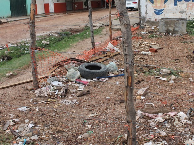 Mosquito leva de sete a dez dias para se desenvolver de ovo a adulto em locais de água parada