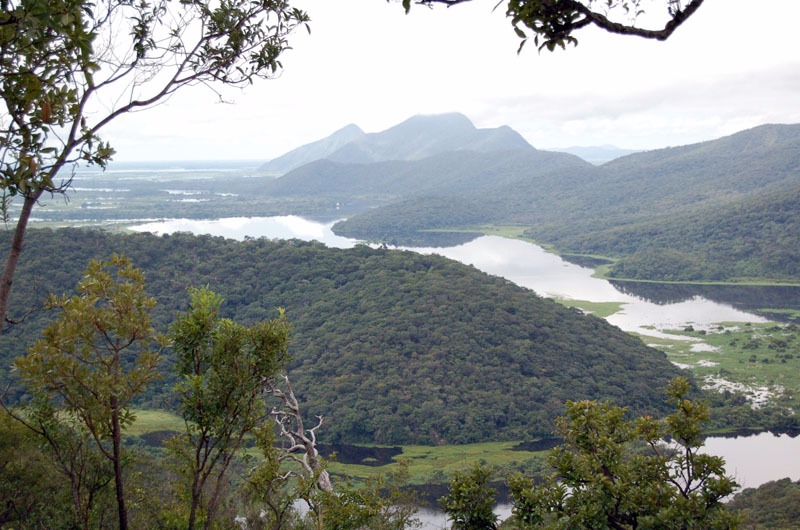 Durante o encontro será discutida a importância de se avançar na criação de uma lei em comum para o Pantanal entre os estados de Mato Grosso do Sul e Mato Grosso