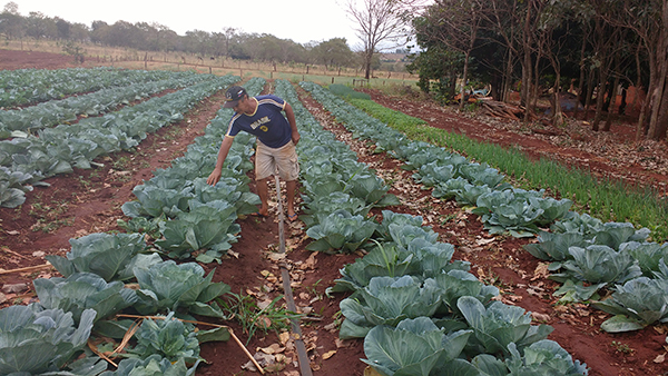 ProdutorMarquinhos da Querência