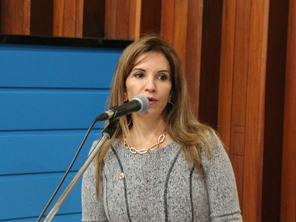 A deputada apresentou indicações para sinalização horizontal nas vias do bairro Pioneiros e também a limpeza geral no conjunto José Abrão