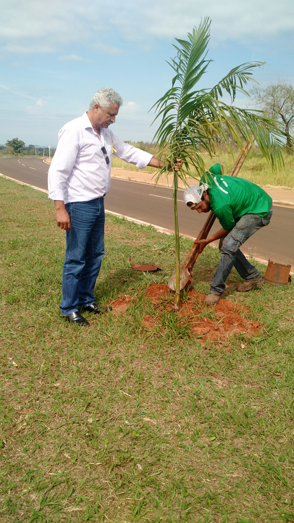 Mário Valério acompanha plantio de palmeira em local onde mudas foram furtadas