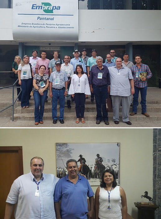 Instituições debatem parcerias em benefício da região do Pantanal