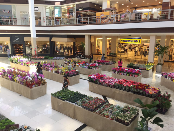 Cerca de três mil flores e plantas estão disponíveis para os filhos que buscam algo mais tradicional