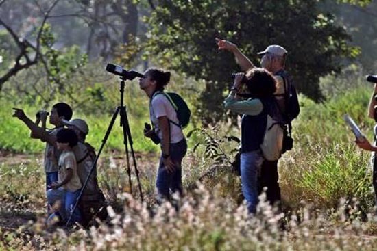 Semana do Ambiente com programação grátis