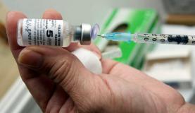 Cerca de 3,5 milhões de doses de vacina contra a febre amarela foram enviadas ao Brasil pelo Grupo de Coordenação Internacional para Fornecimento de Vacinas