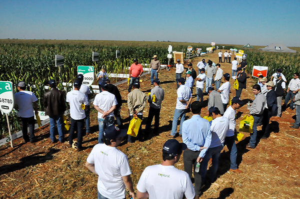 Rally do Milho acontece na quarta-feira