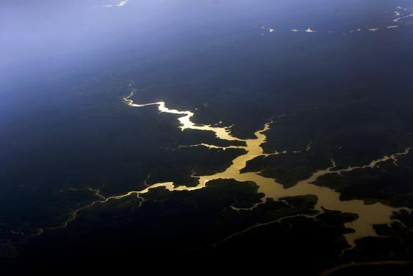 Vista aérea de floresta e rios