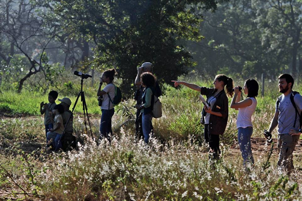 Com entrada gratuita, o evento é resultado de uma parceira entre o museu, o Instituto Mamede de Pesquisa Ambiental e Ecoturismo e o programa de pós-graduação Meio Ambiente e Desenvolvimento Regional da Uniderp