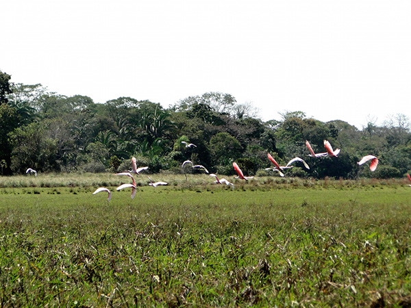 Parque Rio Negro