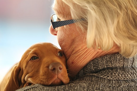 Aqueles apaixonados por animais podem oferecer serviços de hospedagem para quem viaja e não tem com quem deixar os bichinhos