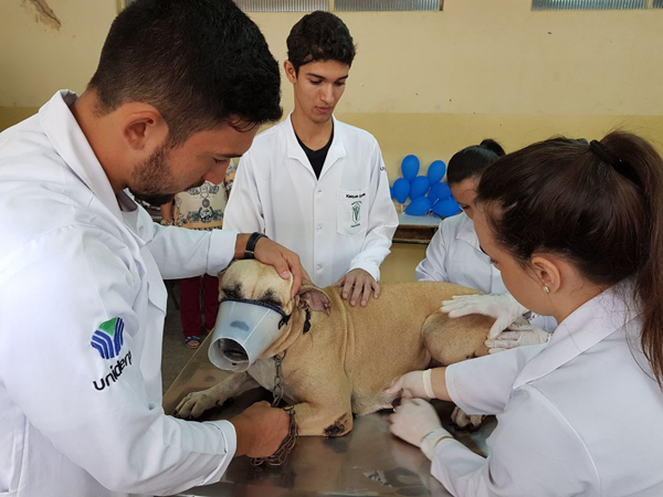O atendimento do Outubro Rosa Pet acontecerá por ordem de chegada