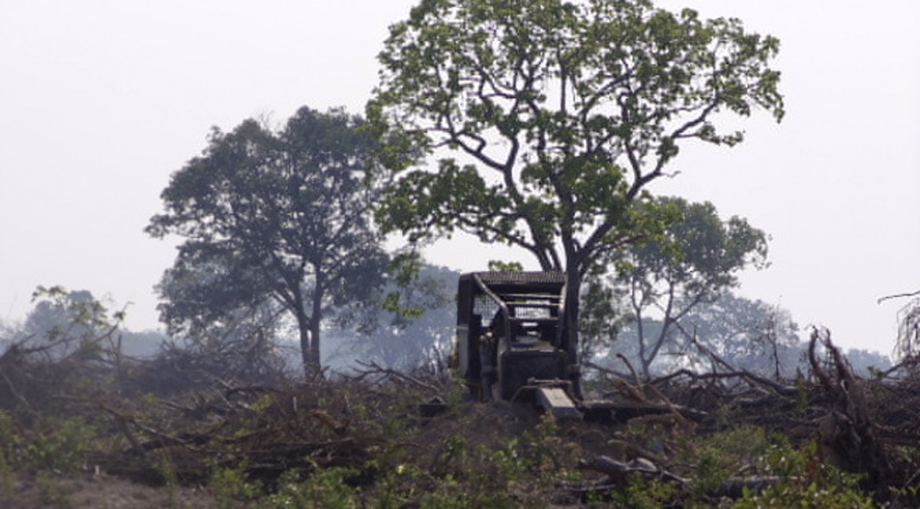 O diretor-presidente do Imasul, Ricardo Eboli, recorda também dos investimentos em Tecnologia da Informação (TI), “que culminaram no Portal da Transparência Ambiental