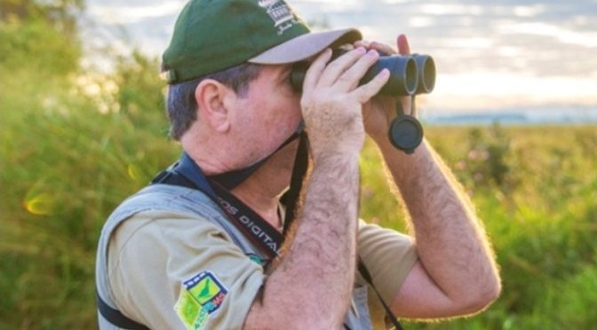 A atividade também é conhecida como birdwatching