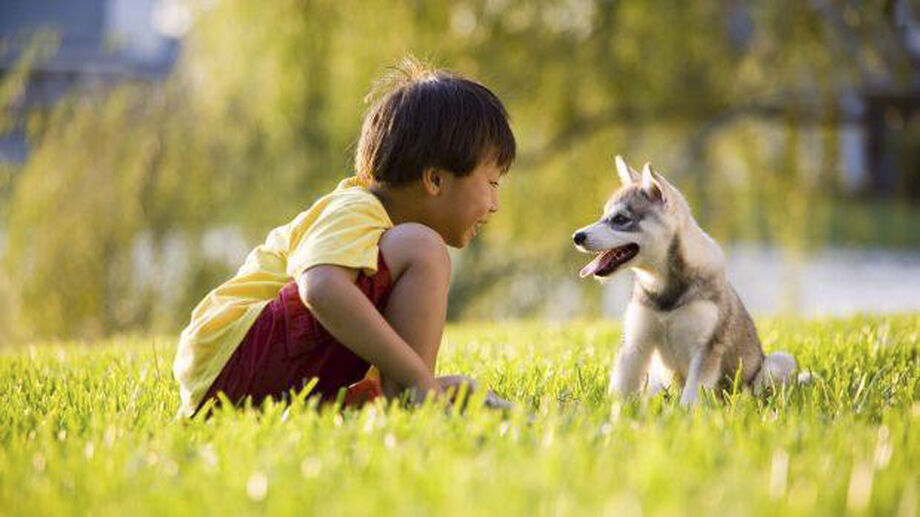 Essa parceria produziu uma série de pesquisas, incluindo estudos que mostram que as interações com animais podem ter impactos benéficos sobre as crianças no espectro do autismo e em pessoas com outras deficiências