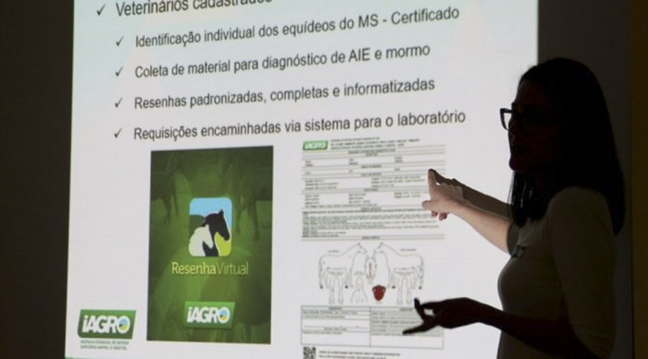 As medidas de desburocratização facilitaram a vida do cidadão e do empresário nos setores de Desenvolvimento Econômico, Habitação, Assistência Social, Gestão, Produção e Agricultura Familiar, Segurança Pública e Educação