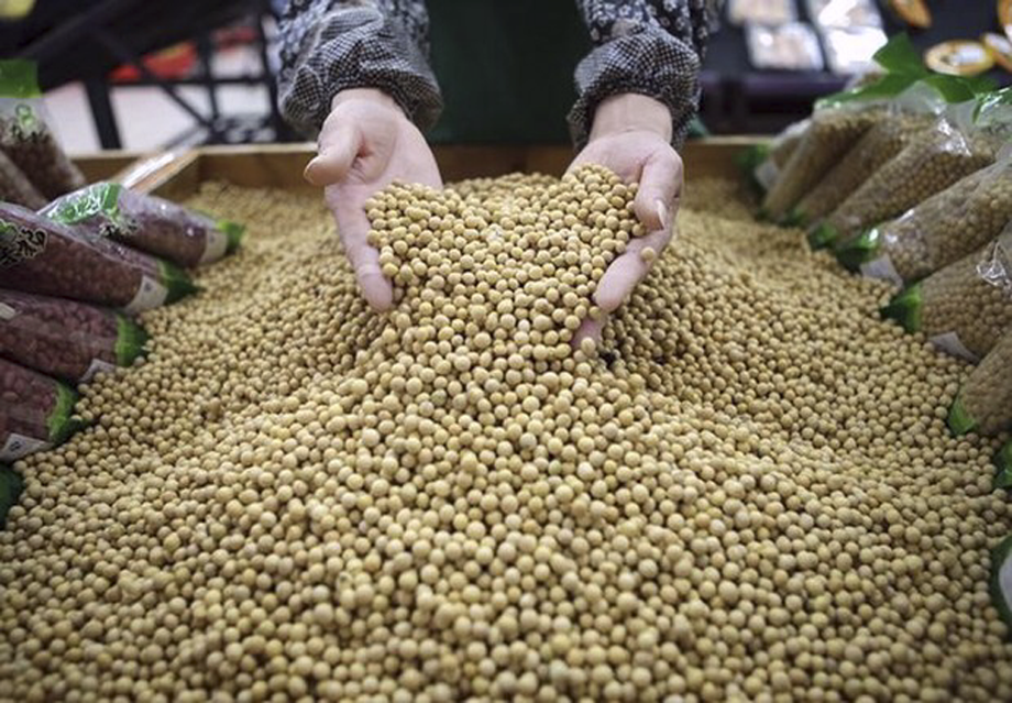 Não é por acaso que o estudo da FGV sobre o mercado de trabalho no campo aponta que a soja foi a atividade do agronegócio que melhor remunerou os trabalhadores