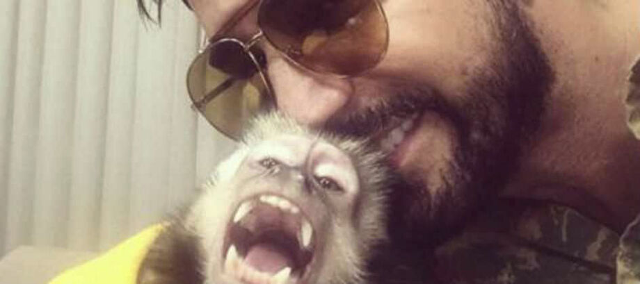 Twelves era um macaco prego de cinco anos de idade, original da cidade de Xanxerê, em Santa Catarina