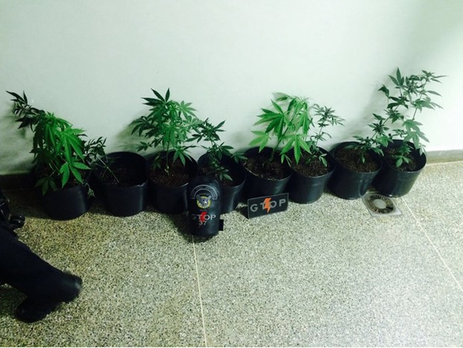 Durante a operação, quatro pessoas foram presas por tráfico de drogas