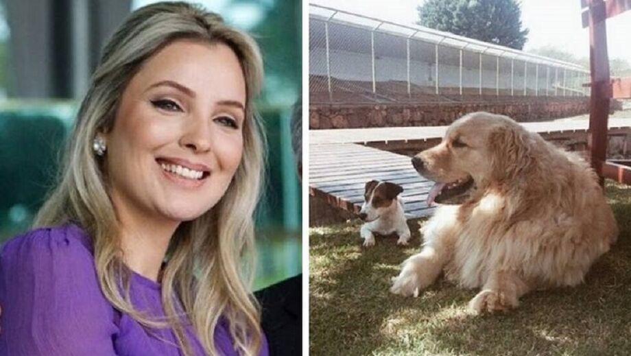 Marcela Temer se jogou no lado para salvar o cão menor da foto, que dava sinais de afogamento.