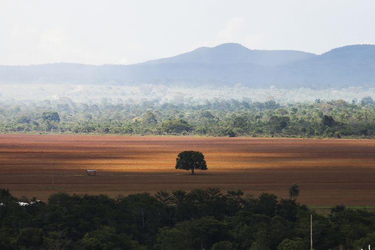 Marcelo Camargo/Agência Brasil/Agência Brasil