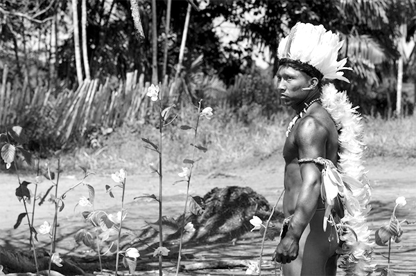 O Planetário projeta o céu em telas semiesféricas e permite a visualização de planetas e estrelas