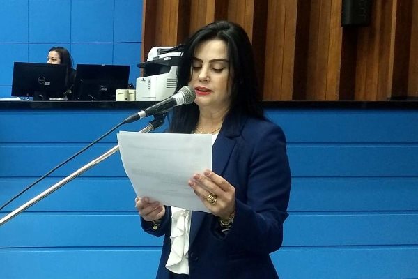 Mara Caseiro pede reforma de ponte no interior de MS