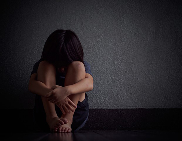O decreto especifica que o sistema de garantia de direitos, composto por diversos órgãos, programas, serviços, intervirá nas situações de violência contra crianças e adolescentes