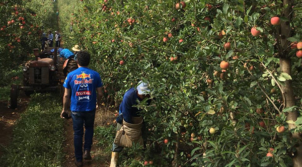 Além de dar a segurança jurídica às empresas e índios nessa relação de trabalho, com o registro no contrato do salário e benefícios, os órgãos e entidades acompanham a situação nos locais onde os indígenas estão