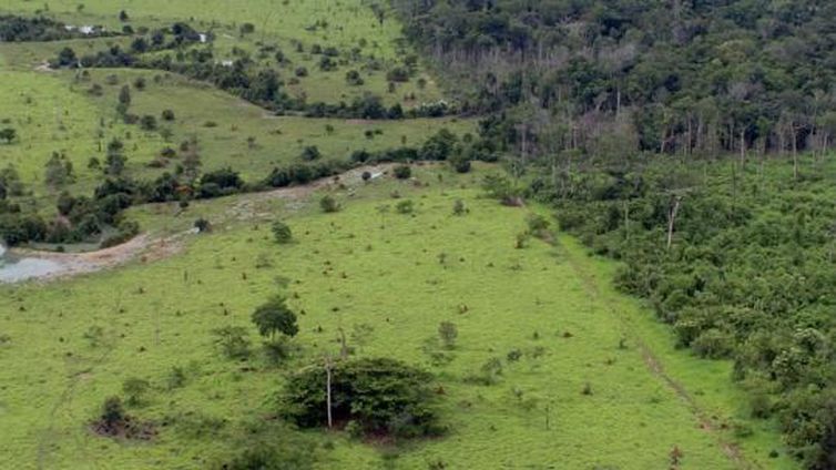 MMA/Arquivo