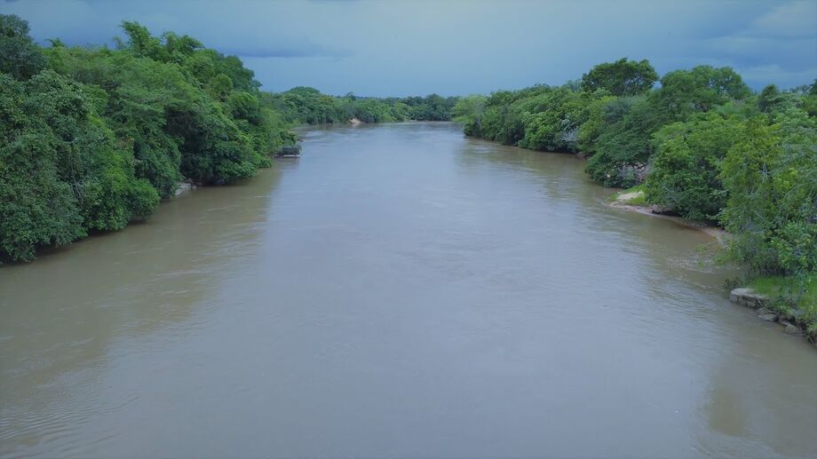 O processo de assoreamento da Bacia do Rio Taquari teve início há 40 anos e inundou permanentemente mais de 1,3 milhão de hectare no Pantanal