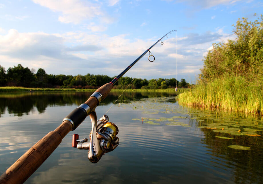 A pesca científica, a pesca de subsistência e a pesca profissional continuam com os mesmos regramentos, conclui Ricardo Senna